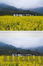 8x成人在线视频-成人在线视频，8x时代的数字娱乐新视角