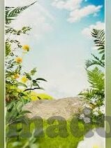 国产 果冻传媒-国产果冻传媒，创新与传承的甜蜜交汇