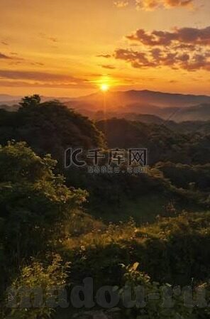 免费av观看麻豆-麻豆，不只是普通词汇——浅谈网络搜索的多元化趋势与道德考量