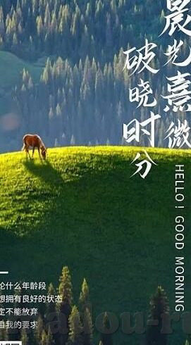 日韩av东京热无码一区-日韩AV东京热无码一区，文化现象与网络时代的边界探索