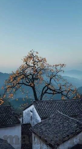 糖心app官网导航-温暖至糖心 —— 全面解读糖心app官网导航的魅力