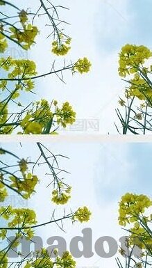 亚洲防屏蔽一区二区-亚洲网络环境中的内容多样性与信息获取的挑战